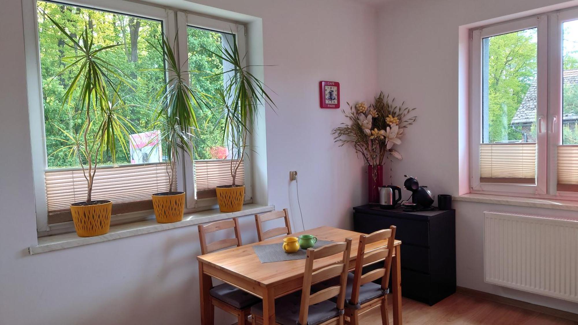 Apartament Natalia Żywiec Extérieur photo